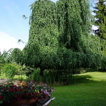 Cristina Villa Luino